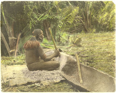 229039 Vrouw van de Marind-anim holt een boomstam uit om sago te winnen. Zijaanzicht